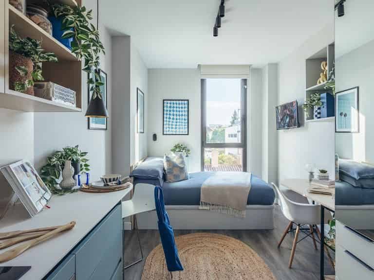 Palm Studios