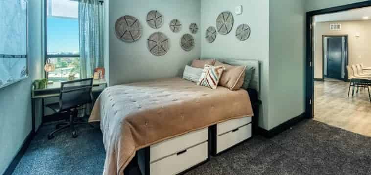 Canvas Tempe
