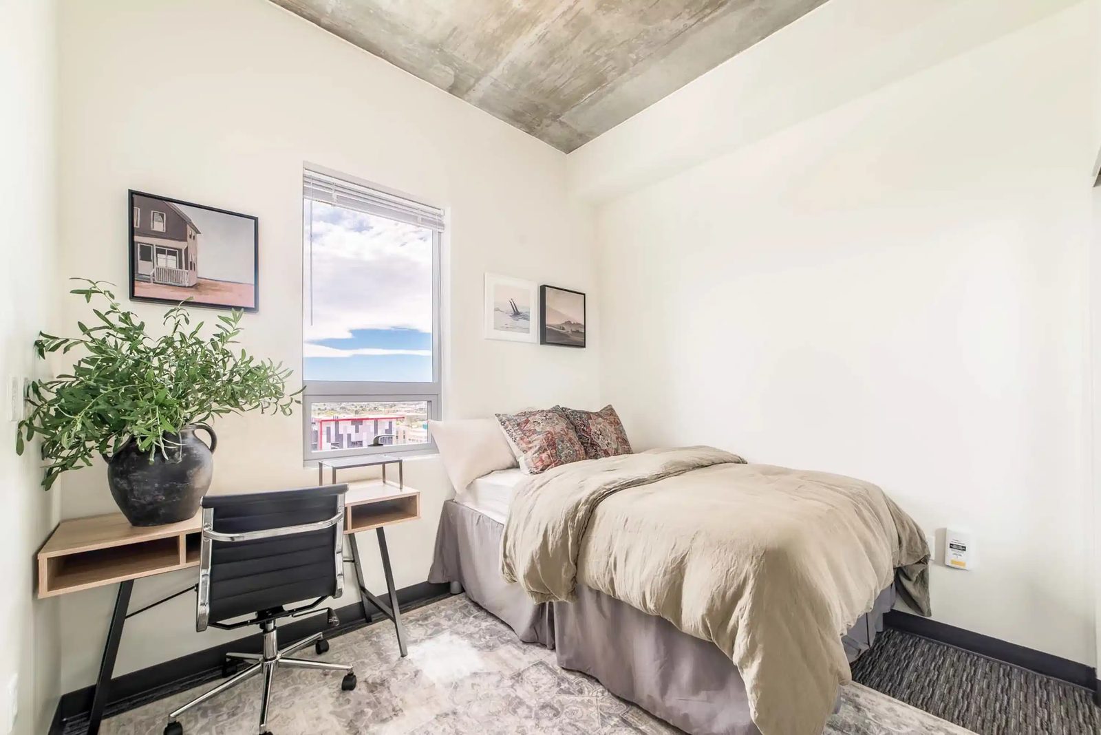 University of Arizona
