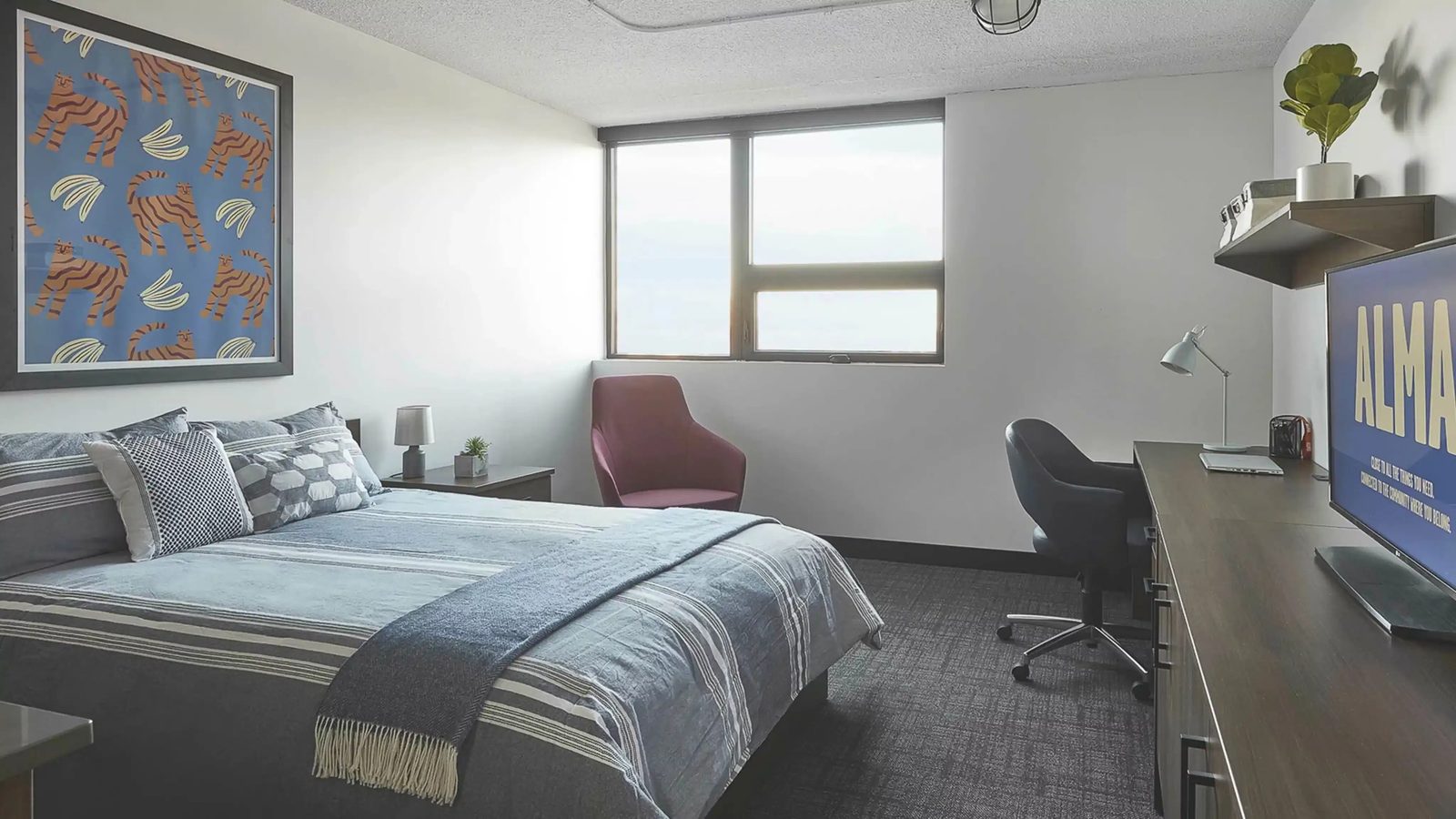 ALMA @ Guelph Student Housing