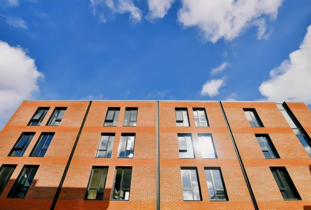 Hasselt University
