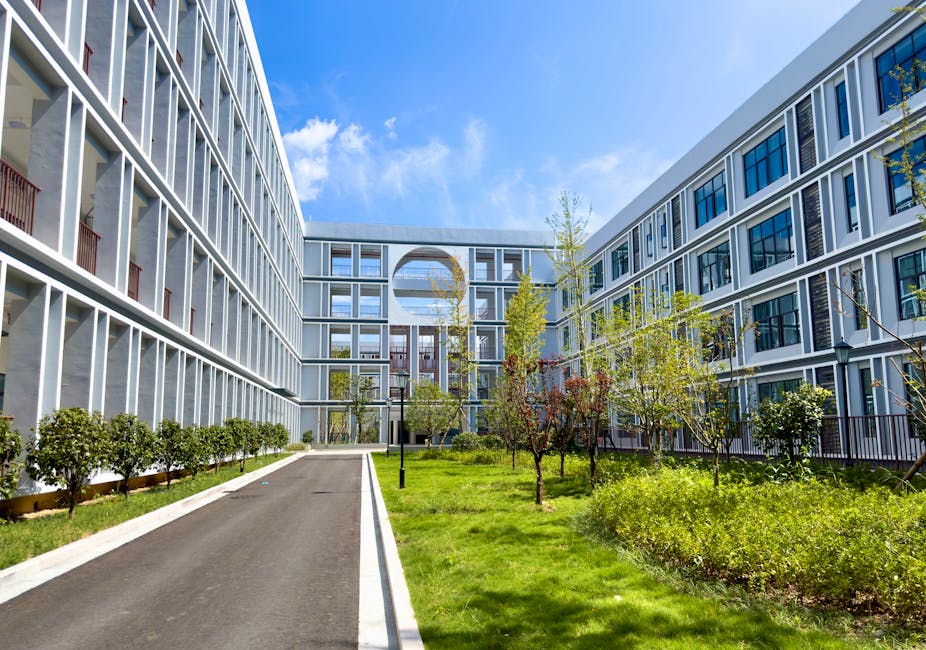 学校宿舍到底好不好：中国留学生的真实体验与建议