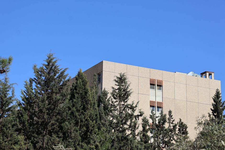 学校宿舍的社交活动与社区建设：如何参与宿舍委员会与文化活动