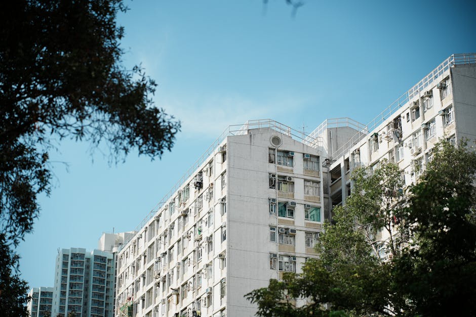 学生公寓牌照与合规查询工具：英国、澳洲与香港的官方网址汇总